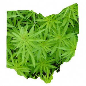 17 Year Old Drug Czar Arrested in Ohio