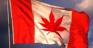Huffington Post: Canada's Marijuana Popular in Asia