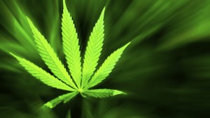 'Bud and Breakfast' Joins Emerging Marijuana-Friendly Colorado Hotels