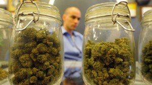 Tax Filings Give Hint to Number of Marijuana Shops in L.A.